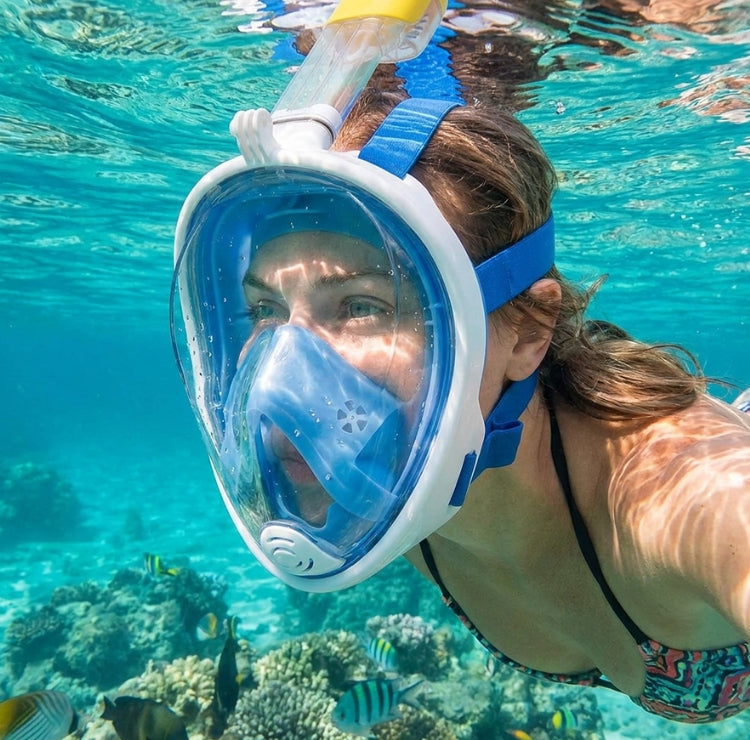 Bivo AquaView