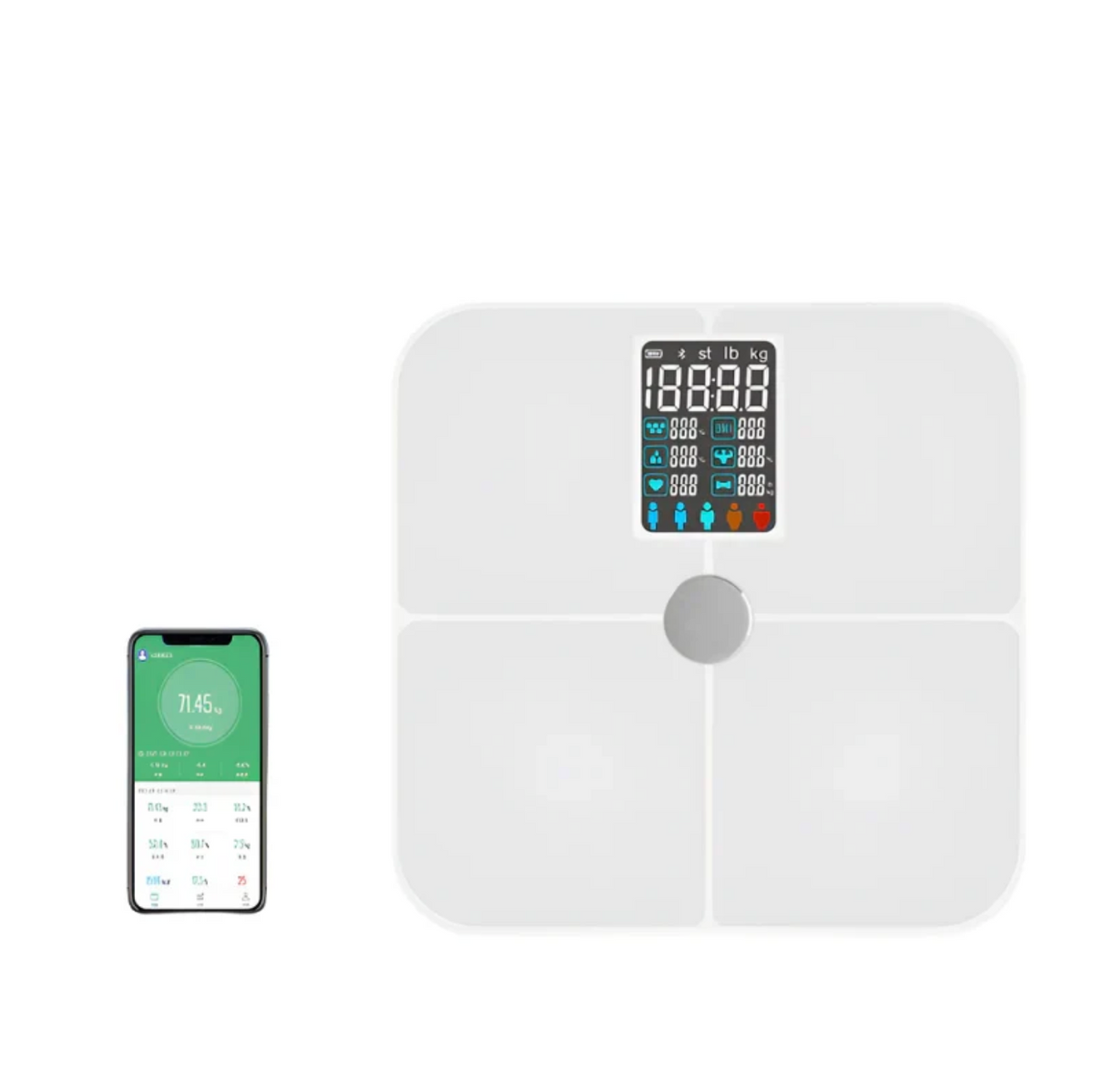 Bivo BodySense