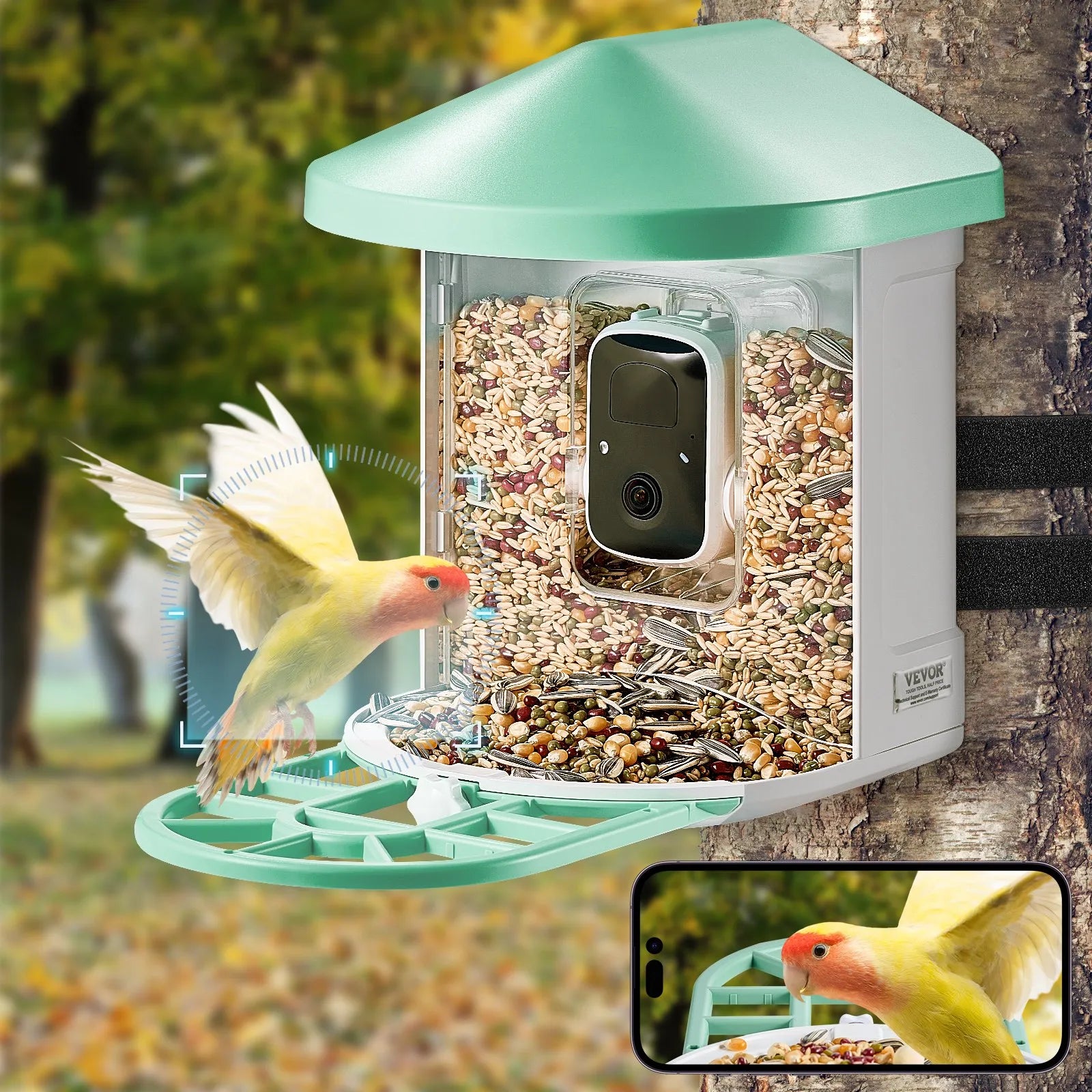 Bivo NestView